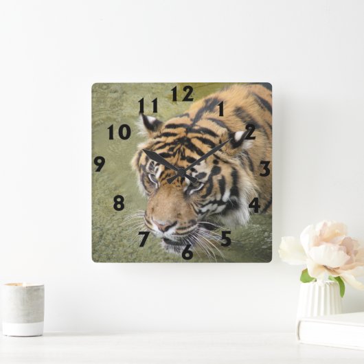 Square Tiger Clock Vierkante Klok (Huis)