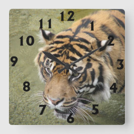 Square Tiger Clock Vierkante Klok