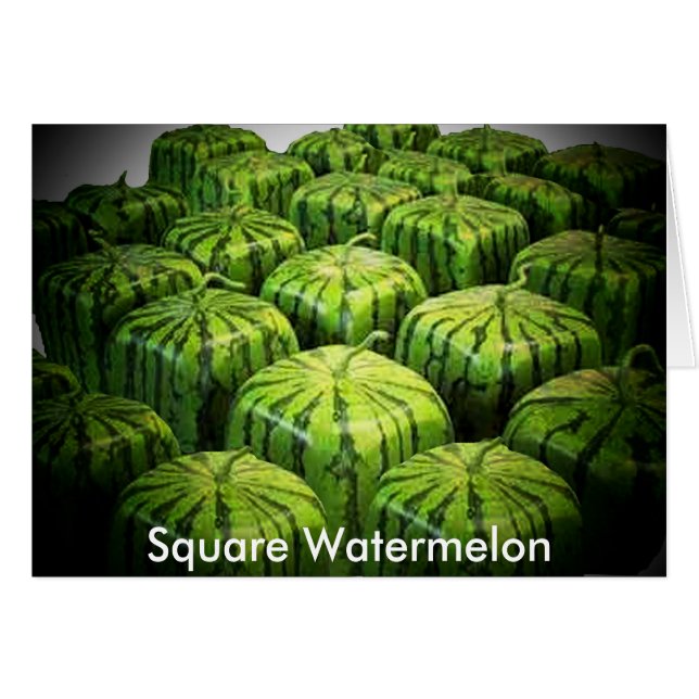 Square Watermelon (Voorkant Horizontaal)