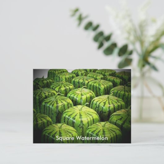 Square Watermelon Briefkaart (Staand voorkant)