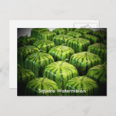 Square Watermelon Briefkaart (Voorkant / Achterkant)