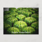 Square Watermelon Briefkaart (Voorkant)