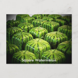 Square Watermelon Briefkaart
