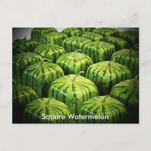 Square Watermelon Briefkaart (Voorkant)