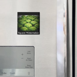 Square Watermelon Magneet