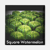 Square Watermelon Magneet (Voorkant)