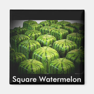 Square Watermelon Magneet