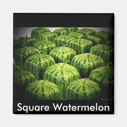 Square Watermelon Magneet (Voorkant)