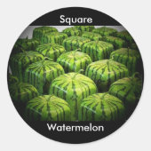 Square Watermelon Ronde Sticker (Voorkant)