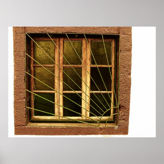 Square Window (Portugal) Poster (Voorkant)