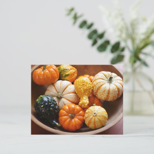 Squash Bowl Briefkaart (Staand voorkant)