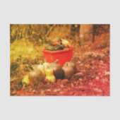 Squash Country Garden Harvest Decoupage Tissuepapier (Voorkant)