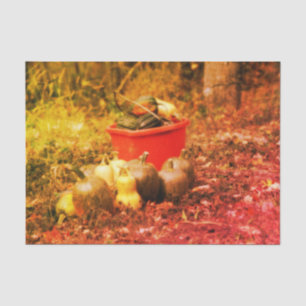 Squash Country Garden Harvest  Decoupage Tissuepapier