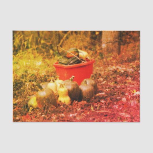 Squash Country Garden Harvest  Decoupage Tissuepapier (Voorkant)