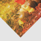 Squash Country Garden Harvest  Decoupage Tissuepapier (Detail)