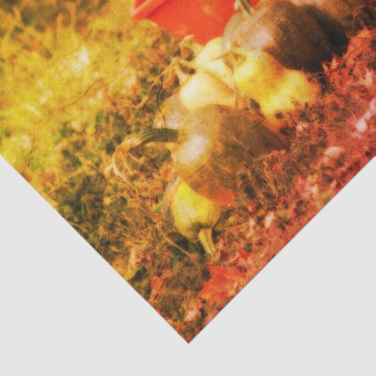 Squash Country Garden Harvest Decoupage Tissuepapier (Detail)