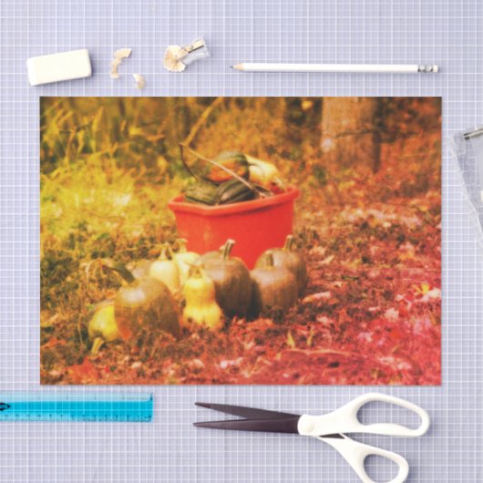 Squash Country Garden Harvest  Decoupage Tissuepapier (Craft)