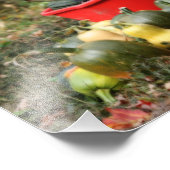 Squash Country Garden Harvest Orton Art 8x10 Foto Afdruk (Hoek)