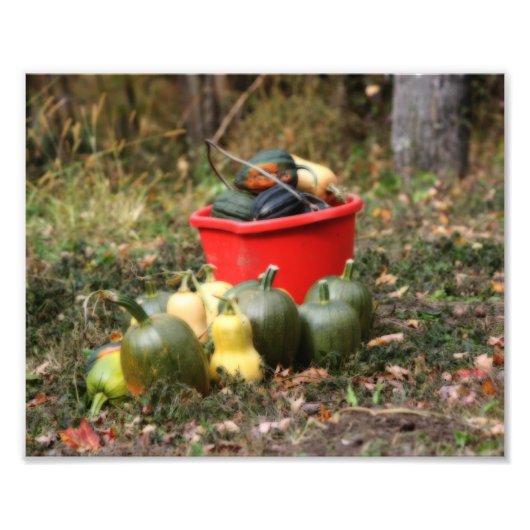 Squash Country Garden Harvest Orton Art 8x10 Foto Afdruk (Voorkant)