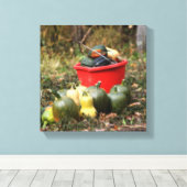 Squash Country Garden Harvest Orton Canvas Afdruk (Insitu (Houten vloer))