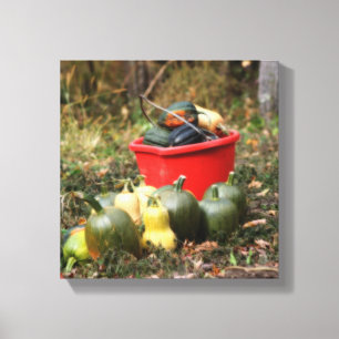 Squash Country Garden Harvest Orton Canvas Afdruk