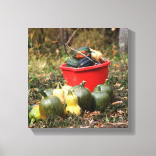 Squash Country Garden Harvest Orton Canvas Afdruk (Voorkant)
