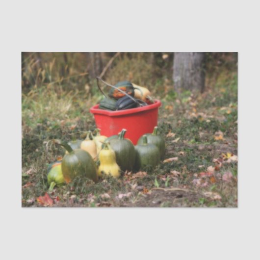 Squash Country Garden Harvest Orton Decoupage Tissuepapier (Voorkant)