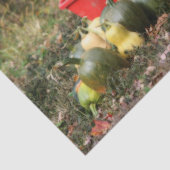 Squash Country Garden Harvest Orton Decoupage Tissuepapier (Detail)