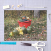 Squash Country Garden Harvest Orton Decoupage Tissuepapier (Craft)