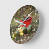 Squash Country Garden Harvest Orton  Ronde Klok (Hoek)