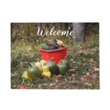 Squash Country Garden Harvest Welkom