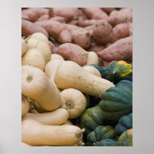 Squash en zoete aardappelen poster (Voorkant)