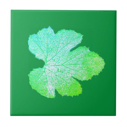 Squash Green Leaf Texture Sketch Tegeltje (Voorkant)