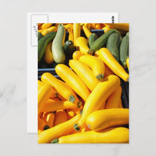 Squash in Geel en Groen Briefkaart (Voorkant / Achterkant)