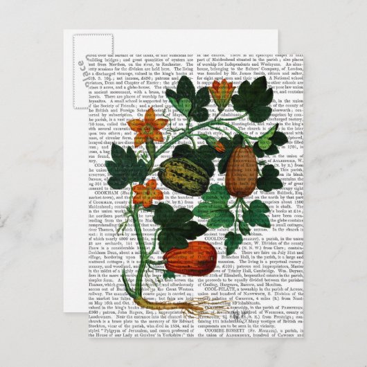 Squash Vine 1 Briefkaart (Voorkant / Achterkant)