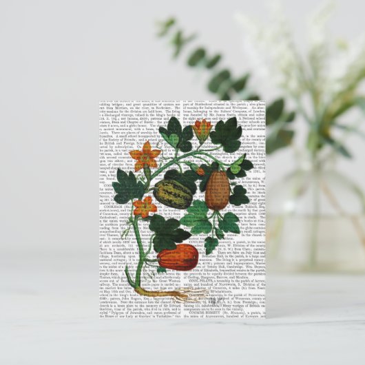 Squash Vine 1 Briefkaart (Staand voorkant)