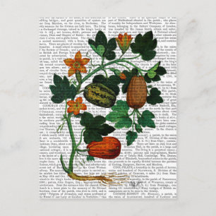 Squash Vine 1 Briefkaart