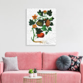 Squash Vine 1 Canvas Afdruk (Insitu (Woonkamer))