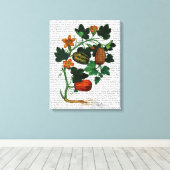 Squash Vine 1 Canvas Afdruk (Insitu (Houten vloer))
