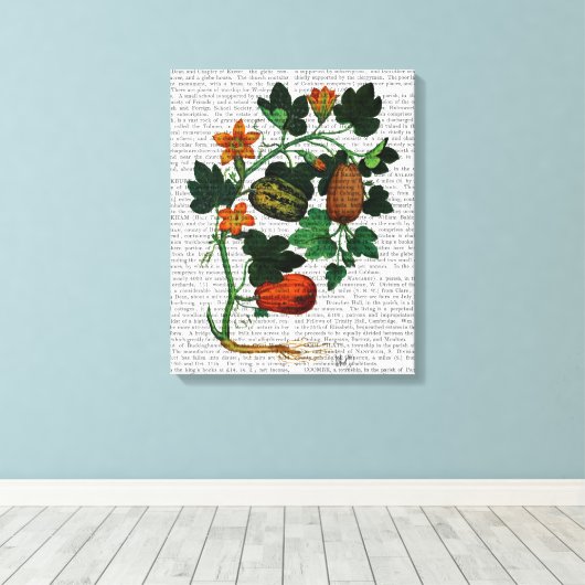 Squash Vine 1 Canvas Afdruk (Insitu (Houten vloer))