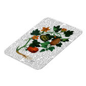 Squash Vine 1 Magneet (Linkerzijde)