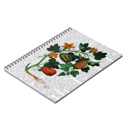 Squash Vine 1 Notitieboek (Linkerzijde)