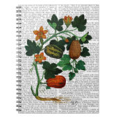 Squash Vine 1 Notitieboek (Voorkant)