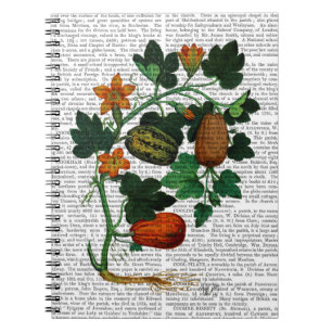 Squash Vine 1 Notitieboek