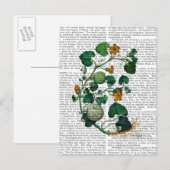 Squash Vine 2 Briefkaart (Voorkant / Achterkant)