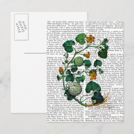 Squash Vine 2 Briefkaart (Voorkant / Achterkant)