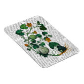 Squash Vine 2 Magneet (Rechterzijde)