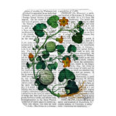 Squash Vine 2 Magneet (Verticaal)