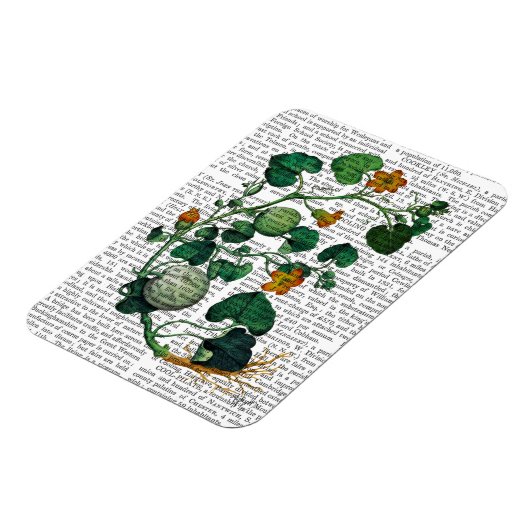 Squash Vine 2 Magneet (Linkerzijde)