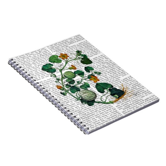 Squash Vine 2 Notitieboek (Rechterzijde)